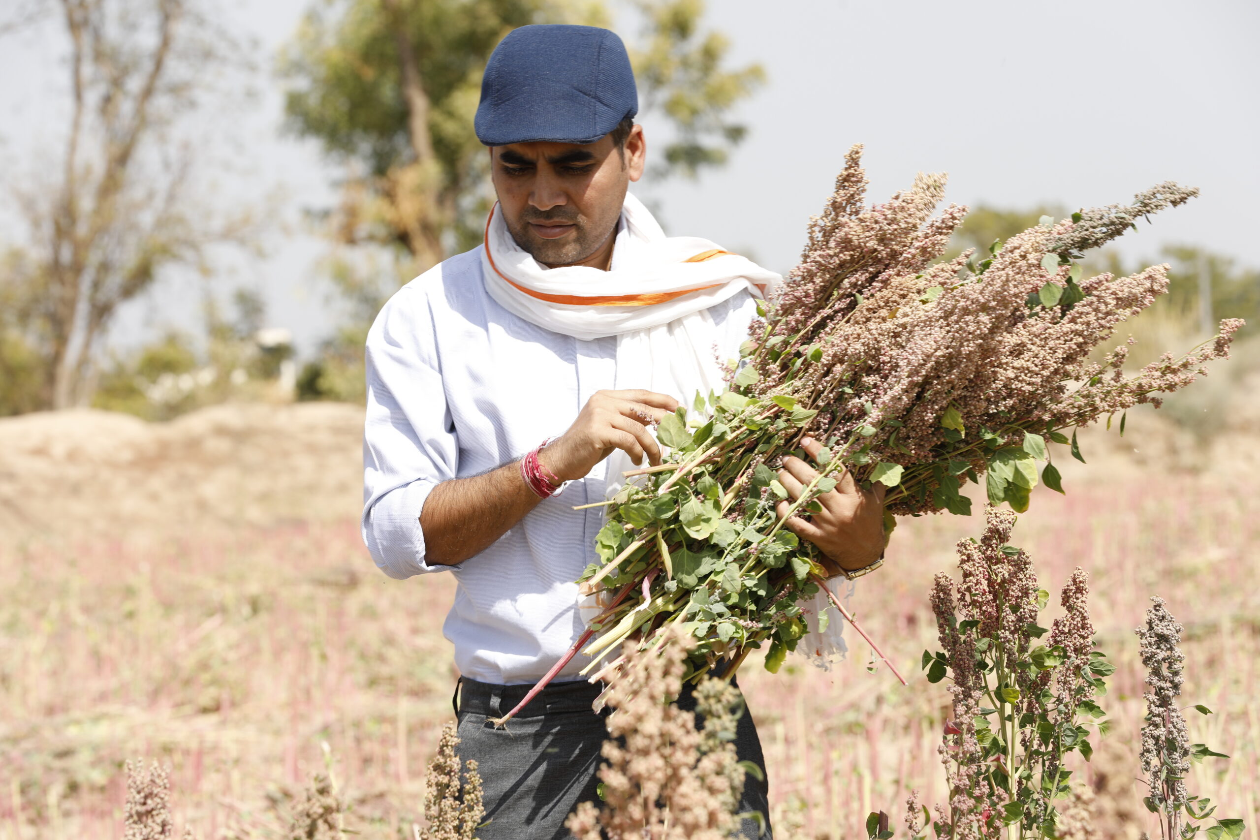 Rapid Organic:  For a Rapidly Growing India